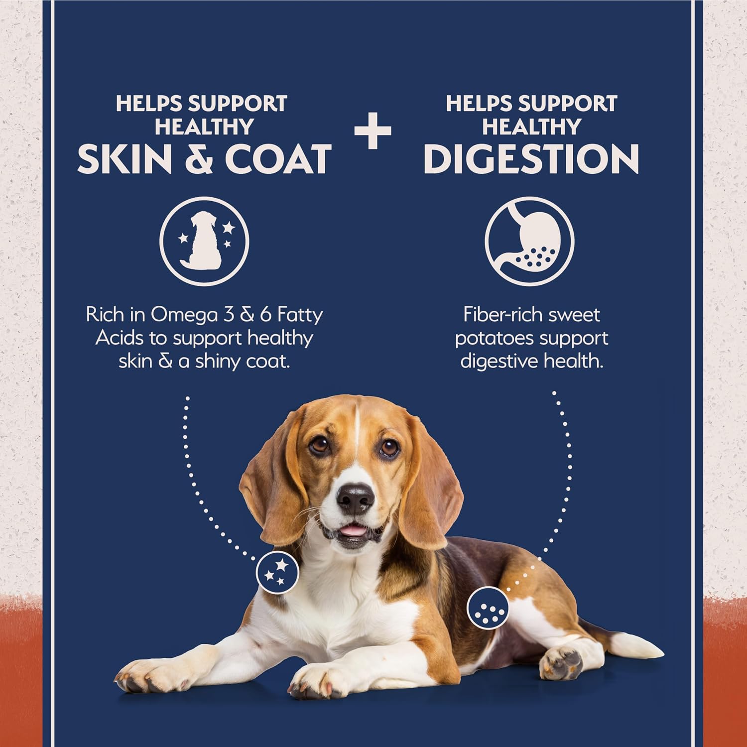 Natural Balance Limited Ingredient, Dog Food, Salmon & Sweet Potato, 24 lb | Grain-Free Dry Dog Food, Balanced Nutrition for Adult Dogs with Sensitivities, Skin and Stomach Support, Salmon & Sweet Potato, 24 Pound (Pack of 1)