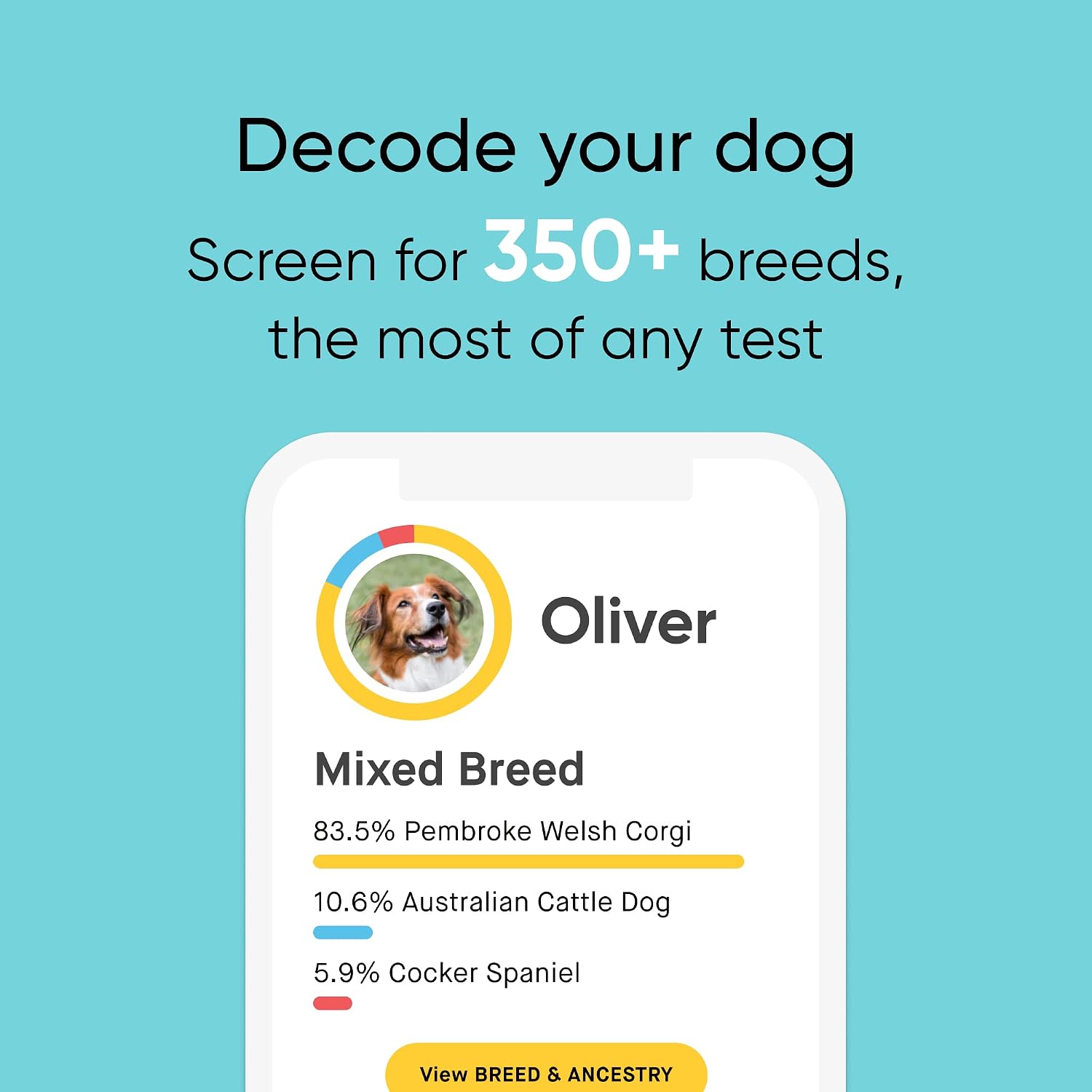 Embark Breed ID Dog DNA Test Kit – 400+ Breeds, 99% Breed Accuracy