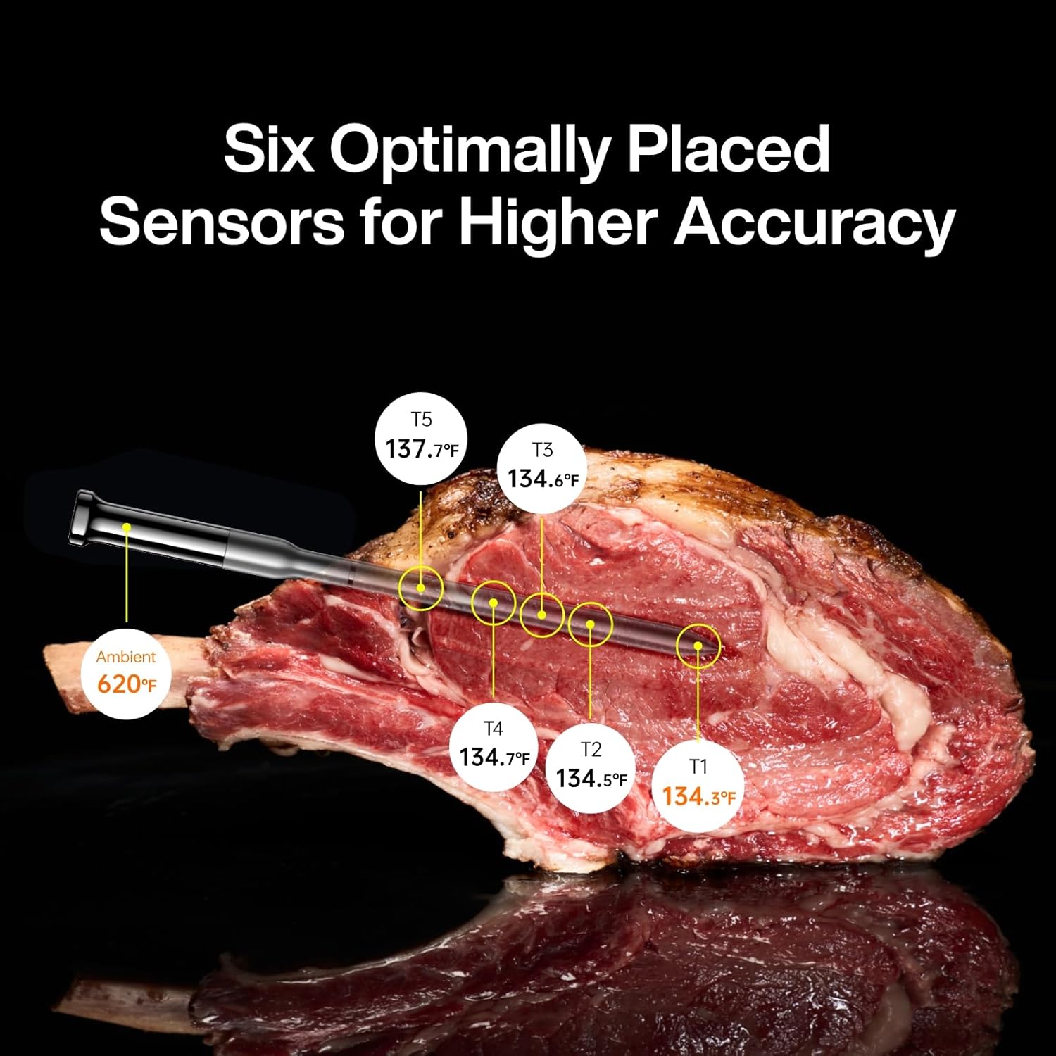 Typhur Sync Gold Wireless WiFi Meat Thermometer