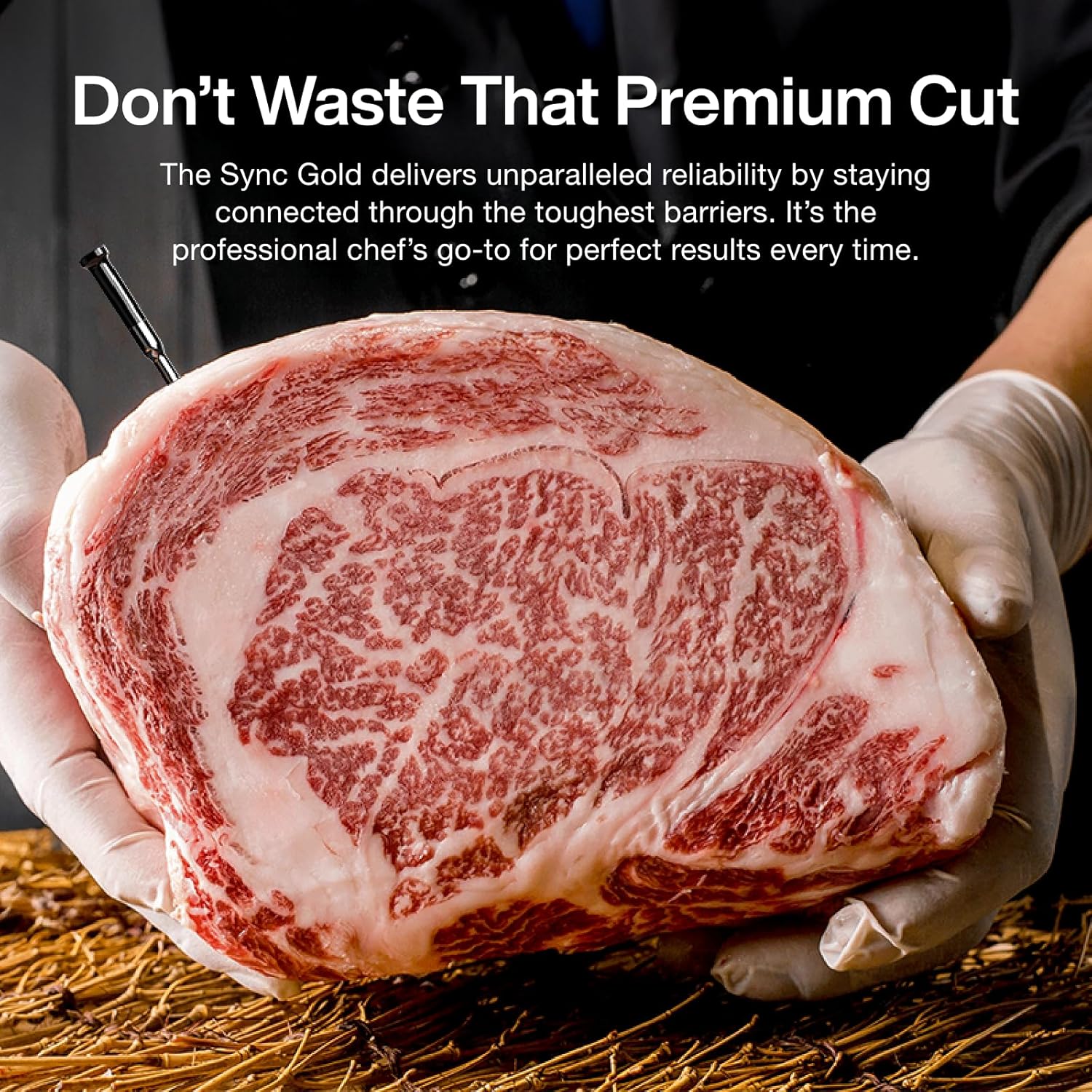 Typhur Sync Gold Wireless WiFi Meat Thermometer