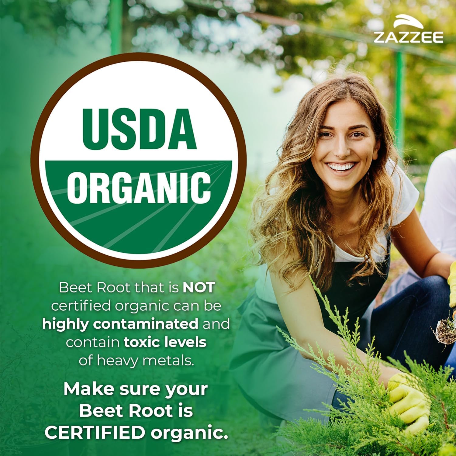 Zazzee USDA Organic Beet Root 20:1 Extract