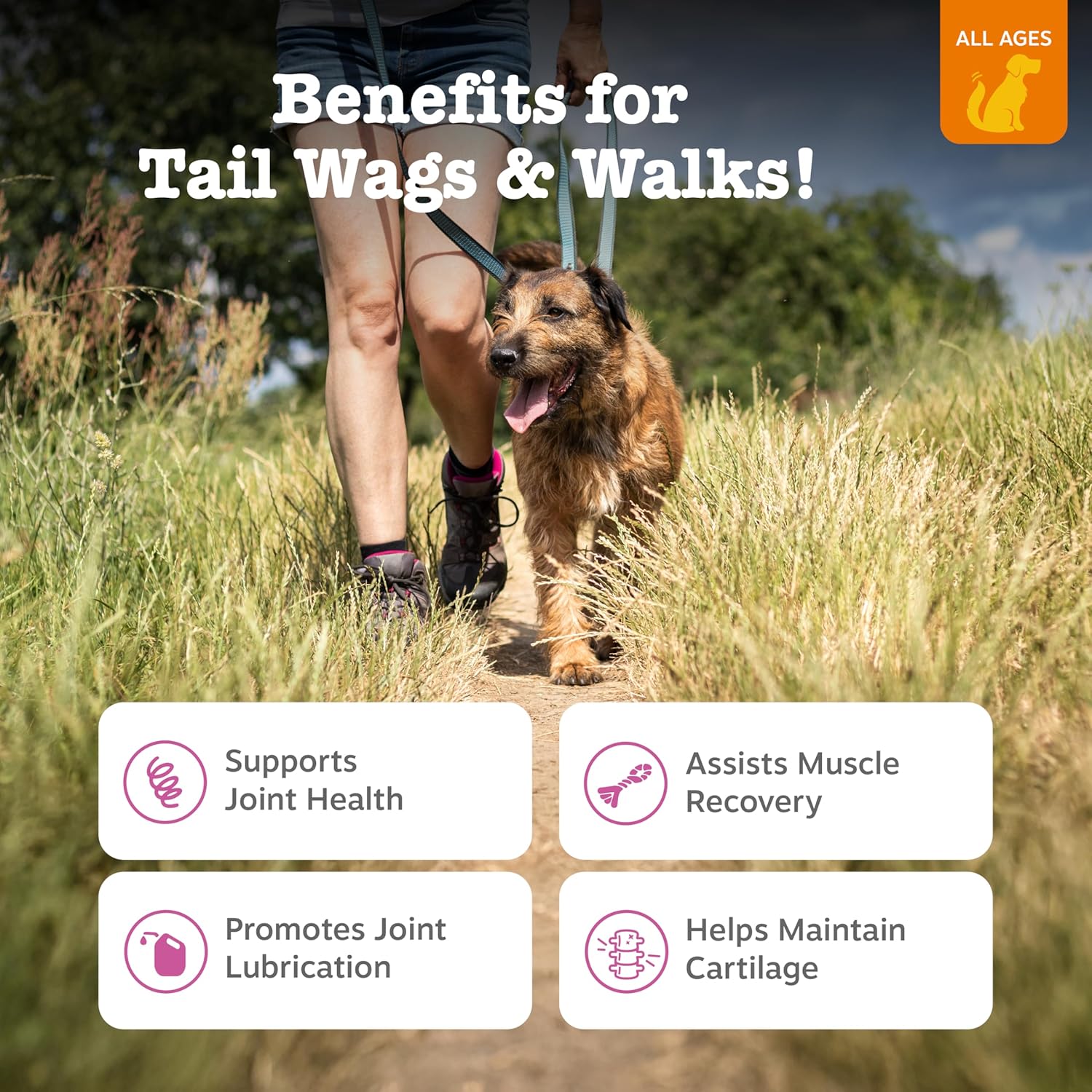 Zesty Paws Hip and Joint for Dogs Glucosamine for Dogs Hip and Joint Supplement with Chondroitin MSM Vitamins C & E - Duck 250 Count